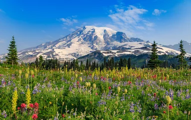 Gordijnen Mount Rainier Paradise in full bloom © Diane