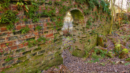 A derelict red brick building in a forest.