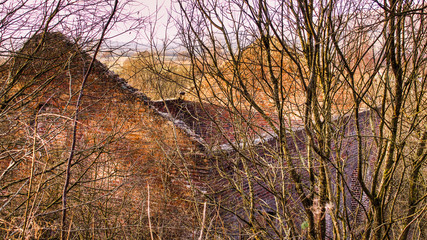 A derelict red brick building in a forest.