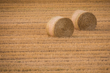 haystack in a field