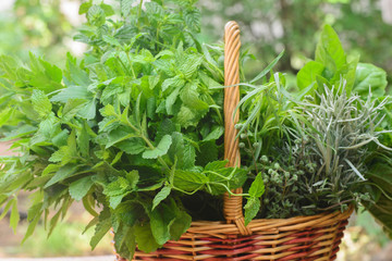 herbs in basket macro