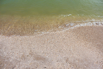 Tropical coast with small seashell and water