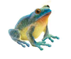 grenouille peluche - poilu-jolie -grenouille imaginaire -photo-illustration-coloré-vert-bleu-jaune