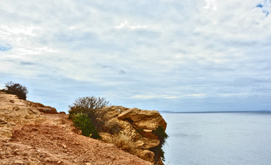 Fototapeta na wymiar tree with rock and ocean with blue sky.