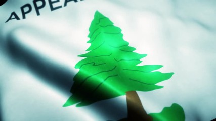 Waving Flag of US Revolutionary Appeal to Heaven