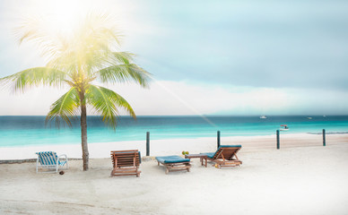 Beautiful tropical beach with white sand, palm trees. The coast of the Indian Ocean. Zanzibar. Tanzania