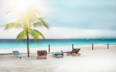 Photo sur Plexiglas Plage de Nungwi, Tanzanie Belle plage tropicale avec sable blanc, palmiers. La côte de l& 39 océan Indien. Zanzibar. Tanzanie