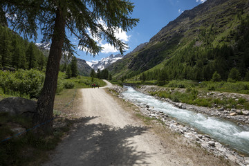 Fototapeta na wymiar Gran Paradiso National Park, Aosta valley, Italy