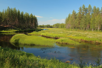 Fototapeta na wymiar Stream at Svansele Dammaenger, a former water-meadow in Sweden