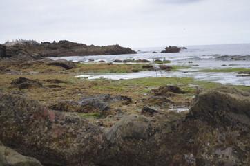 green beach