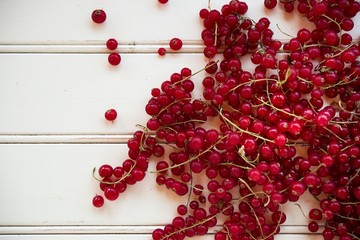 Freshly harvested red currants in summer