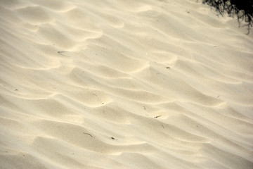 The sand on the beach. Natural background