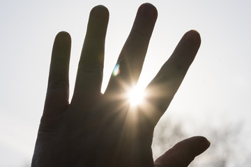 hand close-up, palm sun through fingers, rays