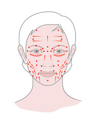 Shiatsu points face massage, acupuncture.  Isolated on white background