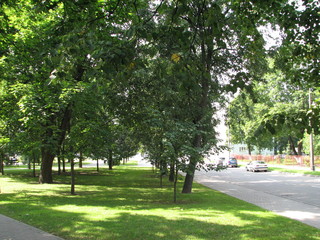 park
