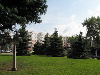 Obraz premium park