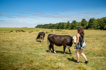 A woman and the cows