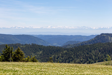 Fototapeta premium Panorama perspektywy Feldberga