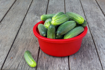 large cucumbers in a red plastic bowl