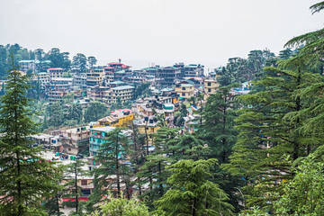 Indien -  Dharamsla