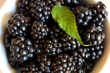 Blackberry in the cup. Summer berry. Top view