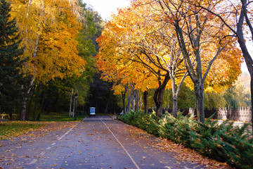 Fototapeta na wymiar Beautiful romantic alley in a park with colorful trees and sunlight. autumn natural background