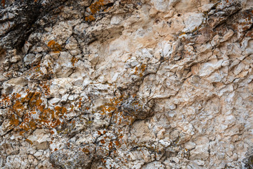 Desert Rock Texture