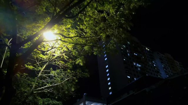 Night view with building, apartment view,Tall building