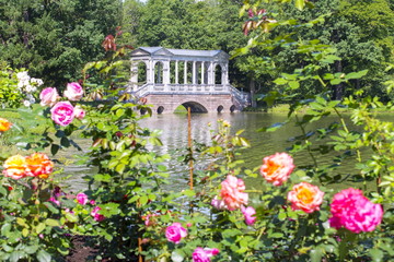 Marble bridge and flowers in Catherine park, Tsarskoe Selo, Saint Petersburg, Russia