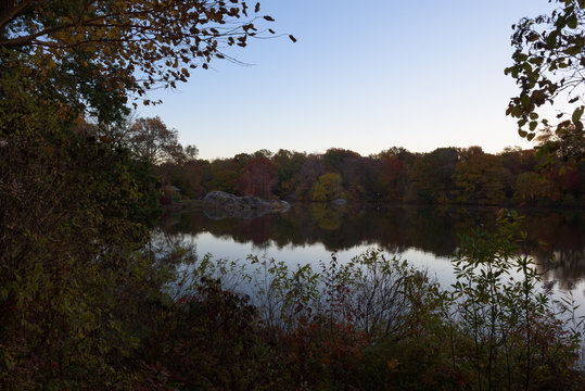 Reflection of trees and foliage in beautiful autumn colors in a pond in central park at sunrise, New York, United States of America