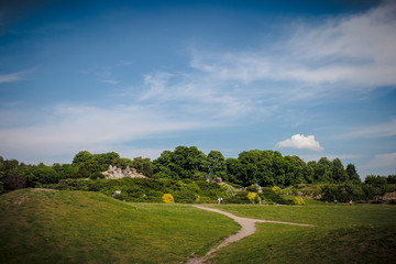 A summer botanical garden in Kiev