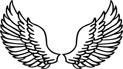 Obraz premium Feathered Wings