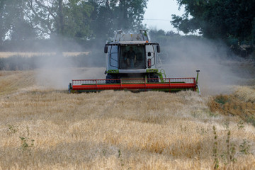 Fototapeta na wymiar Head on view of working combine harvester
