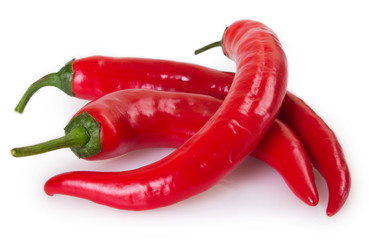 Chili pepper on white background