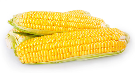Fresh corn on white background