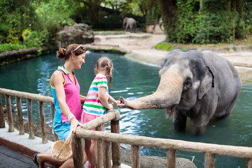 Obraz premium Kids feed elephant in zoo. Family at animal park.