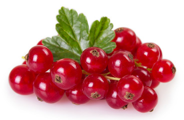 Red currant on white background