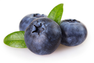 Fresh blueberry on white background