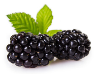 Fresh blackberry on white background