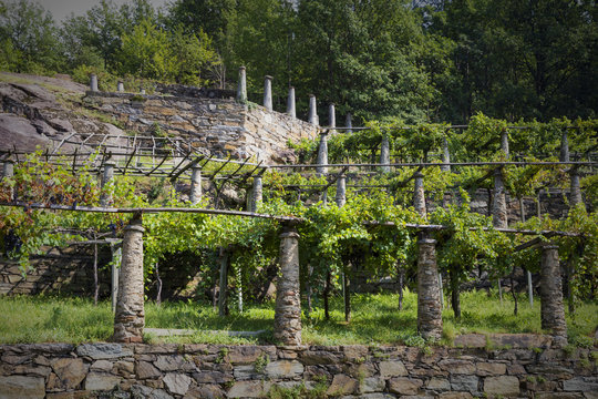 Pilun Stone pillars which hold the wooden structure of a vineyard 