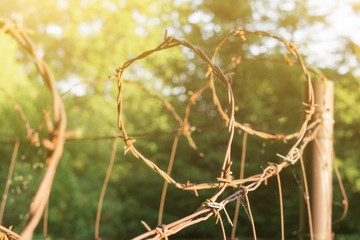Old barbed wire on the fence, protection from thieves, barbed wire, illuminated by the sun, beautiful background