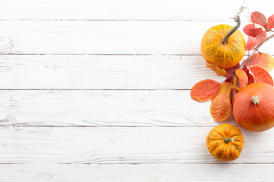 Background of colorful autumn pumpkins and leaves, fall season concept