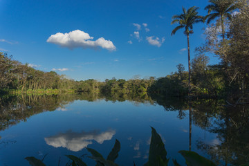 Lake mirror