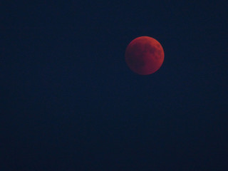 Lunar Eclipse / Blood Moon - 215431970