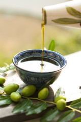 the olive oil in the cup. Branch of an olive tree with fresh olives. Green olives. In the garden....