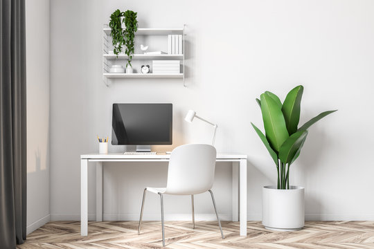 White wall home office workplace, plant