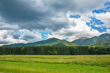 Fototapeta premium Idyllic landscape in the Alps with green meadows and clouds