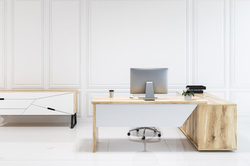 White panel modern office interior