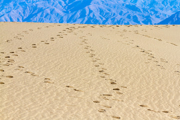 Footprints On the Mesquite Sand Dunes in Death Valley National Park