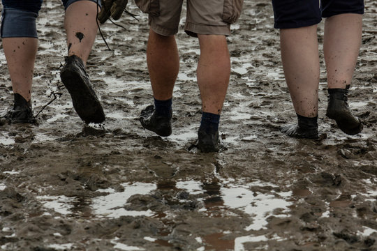 Wanderung im Wattenmeer